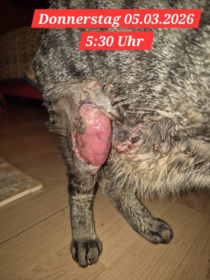 05.03.2026 – erste sichtbare Reaktion