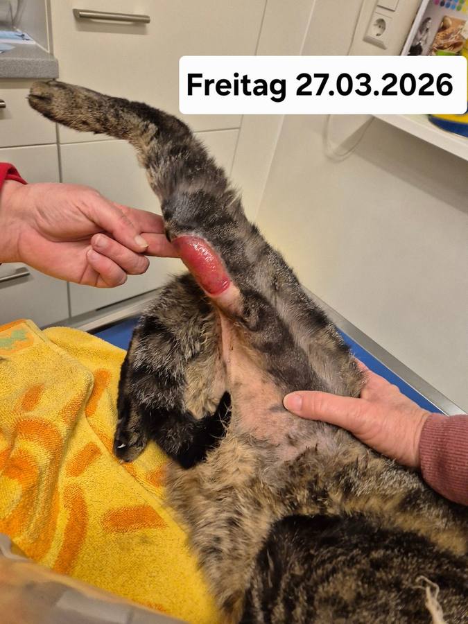 27.03.2026 – Verlaufskontrolle 2