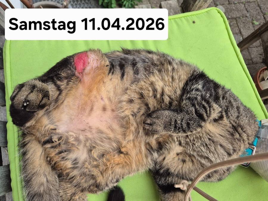 11.04.2026 – Restareal deutlich kleiner