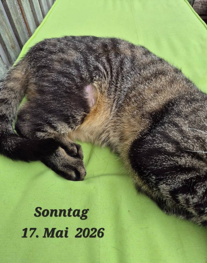 17.05.2026 – Abschlussdokumentation, Gesamtansicht